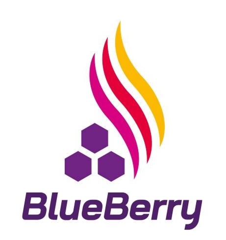 BlueBerry Autoport